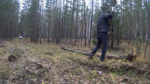 по квадро тропе 2 смотреть онлайн