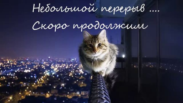 Прямая трансляция пользователя Светлана Савельева смотреть онлайн