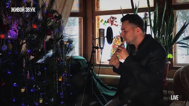 Живое исполнение песни у камина Андрей Щебуняев Happy new year из репертуара группы abba смотреть онлайн