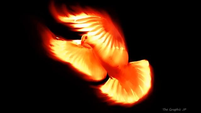 Veni Sancte Spiritus смотреть онлайн