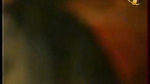 Эдвард Радзинский Гибель галантного века Часть 1