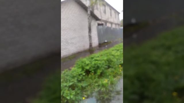 ул. Лесная мкр. Фирсановка г.о. Химки пасха 2013 смотреть онлайн