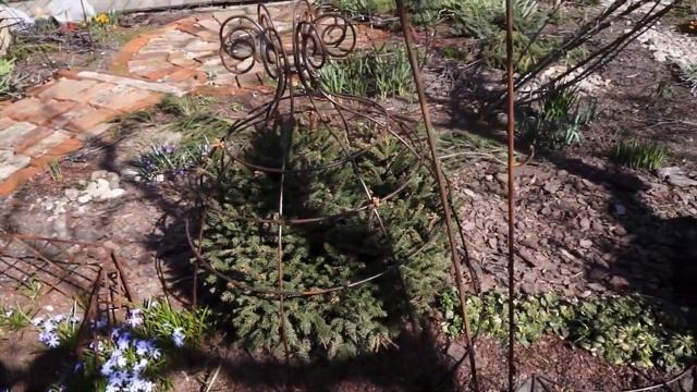 Отчет о визите Александра Высоконова. Консультация по хвойным. Приёмка арки. смотреть онлайн