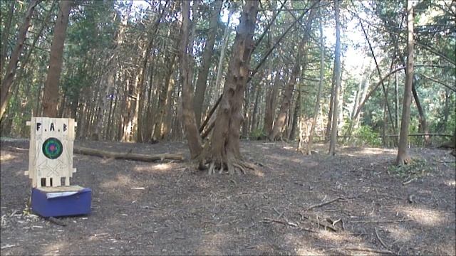 THROWING 3 NINJA STARS AT THE SAME TIME - Kohga Ninja & Perfect Point Stars смотреть онлайн