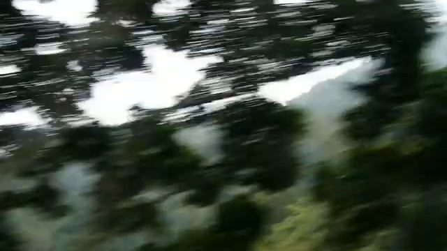 flight of the gibbon 7 смотреть онлайн