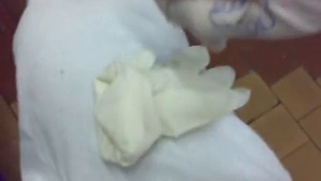 Ручной лев Симба смотреть онлайн