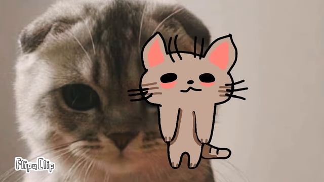 котик Бебрикシ︎ смотреть онлайн