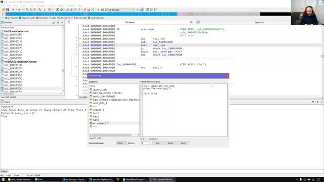 IDAPython: Working with Functions - Part 1 смотреть онлайн