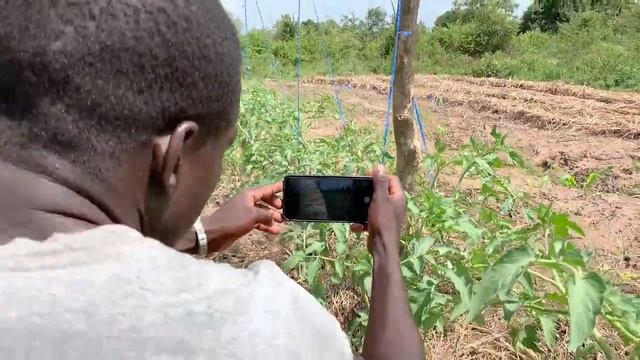 THIS VIDEO WAS RECORDED BY OUR COMMUNITY BASED CONTENT TEAM USING A SMARTPHONE смотреть онлайн