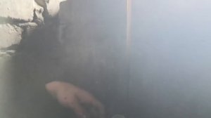 ЗАМЕНА ЗАДНЕГО РЕДУКТОРА ВАЗ 2121 НИВА