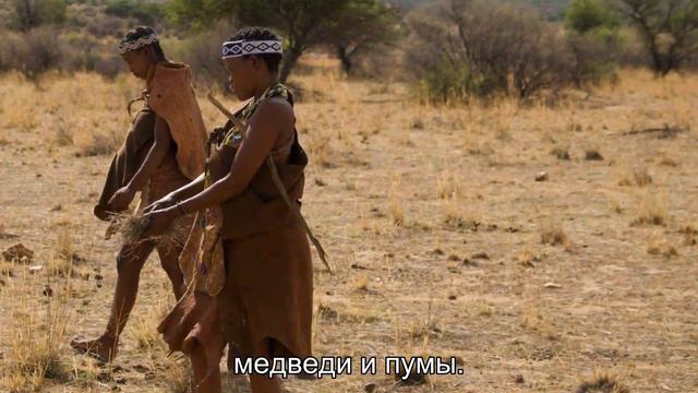 Племя, где женщины покупают мужей за крупный рог. Истории жизни женщин племени Хереро. смотреть онлайн