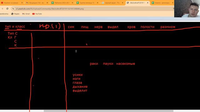 Первичноротые. Урок 2 смотреть онлайн
