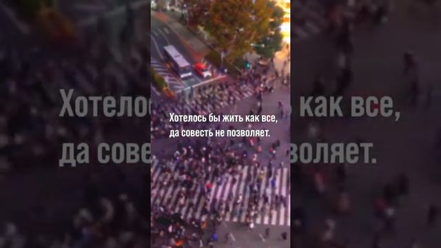 🚶 Хотелось бы жить как все, да совесть не позволяет. Цитаты со смыслом смотреть онлайн
