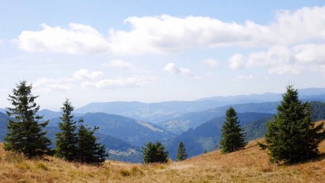 Малоизвестные черты характера невозмутимого Тельца /Гороскоп на завтра /Ежедневный гороскоп смотреть онлайн