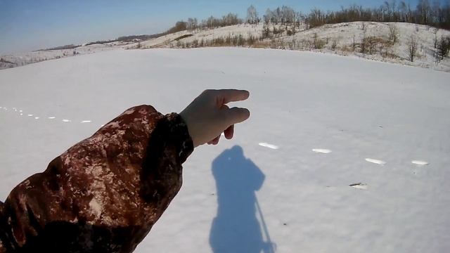 Патрон 12 калибра  для стрельбы на 200м