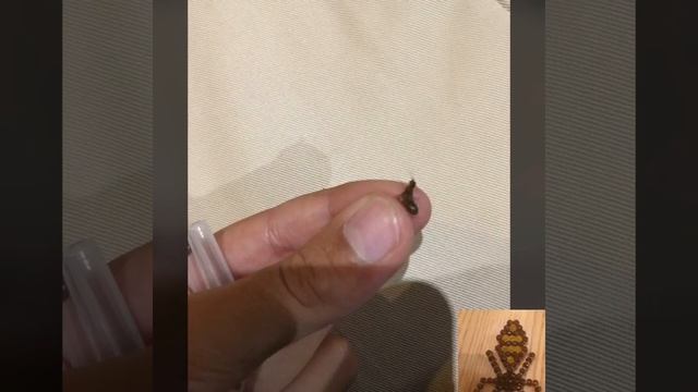 Лазиус нигер. Чёрный садовый муравей. смотреть онлайн