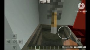 Про железнодорожную профессию Проводник.