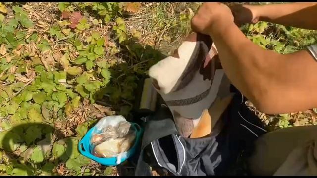 Осенний поход на рыбалку.Жареная картошечка ?Жена готовит и делает настроение! смотреть онлайн