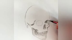 Как нарисовать череп карандашом поэтапно.