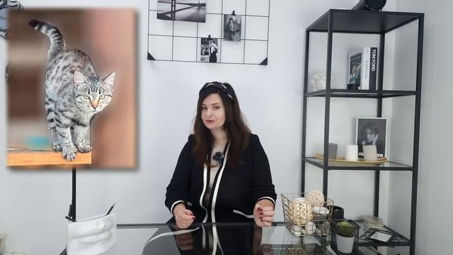 Главный секрет исполнения желаний смотреть онлайн