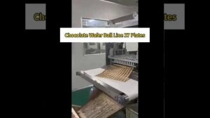 Линия для производства круглых вафельных конфет (аналог Рафаэлло) Китай - Сытный Дом