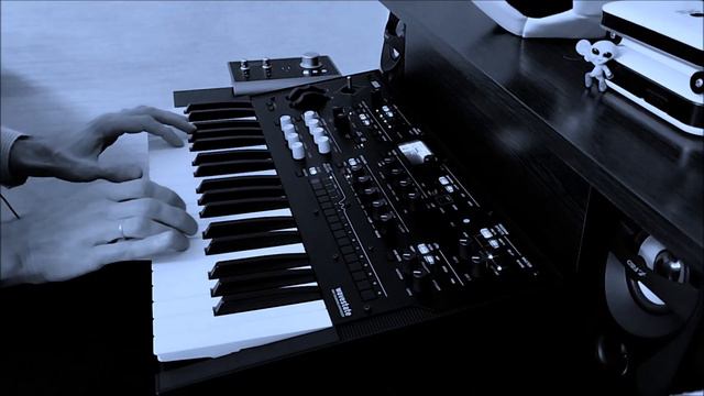 Korg Wavestate - Rhythm Uni Complex + Bell_Guru: Chorus Dreamz + PAD смотреть онлайн