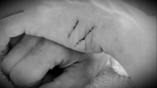 Страшные истории на ночь: Кот убийца | Страшилки | Мистика смотреть онлайн