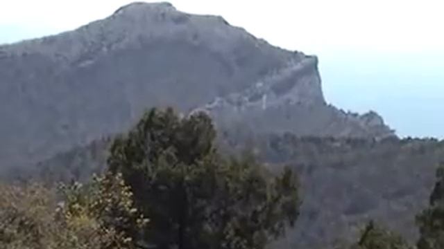 Перчем смотреть онлайн