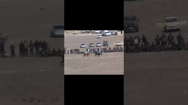 Скачка века блеск vs лабаз смотреть онлайн