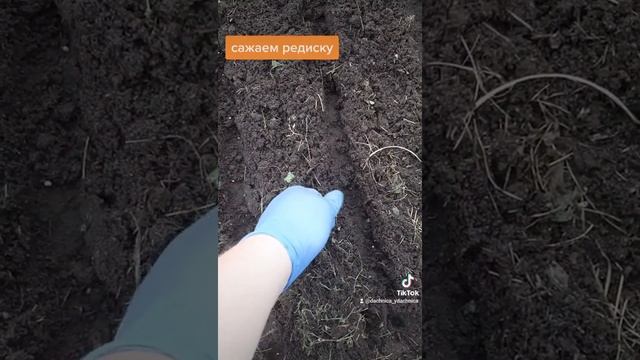 Сажаем редиску. смотреть онлайн