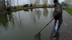 Рыбалка в Рыбном ! Как сегодня ловилась форел.