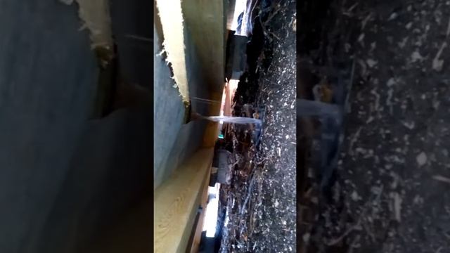 Вот что бывает когда пароизоляцию стелять другой стороной смотреть онлайн
