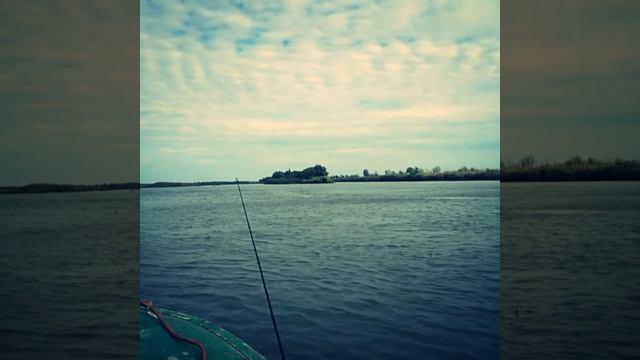 Рыбалка в Астрахани,Володарский район,р.Васильевская смотреть онлайн