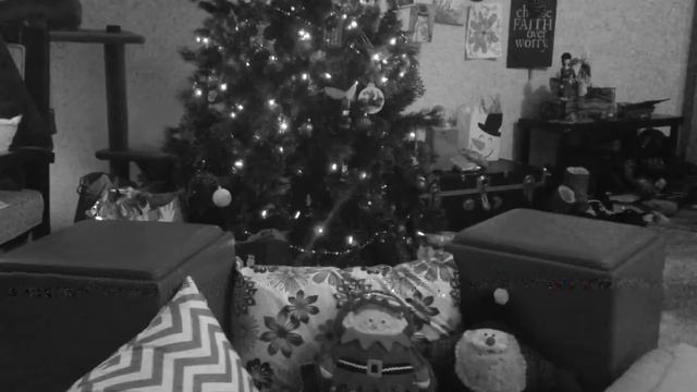 Fuchsia Noir Advent Podcast Day 19 смотреть онлайн