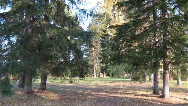 Все брошу и уеду в дальний путь смотреть онлайн