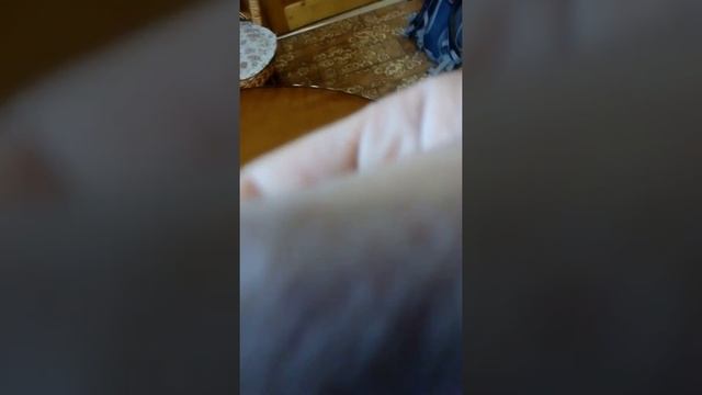 Инструкция по кормлению котиков смотреть онлайн