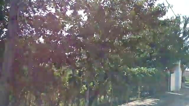 Почему в Греции обувь мыть не надо. смотреть онлайн