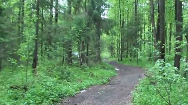 Видео смотреть онлайн