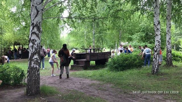 Отдых на ранчо, Релакс, природа, виды развлечений.