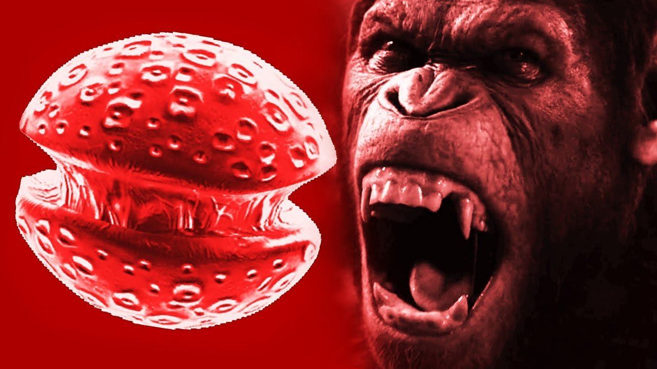 БУРГЕР КОНГ: СМЕРТЕЛЬНЫЙ ФАСТФУД ► Plague Inc Evolved |15|