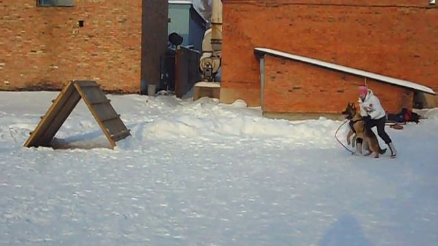 Н.О Расмус 10 мес. второе занятие по защите смотреть онлайн