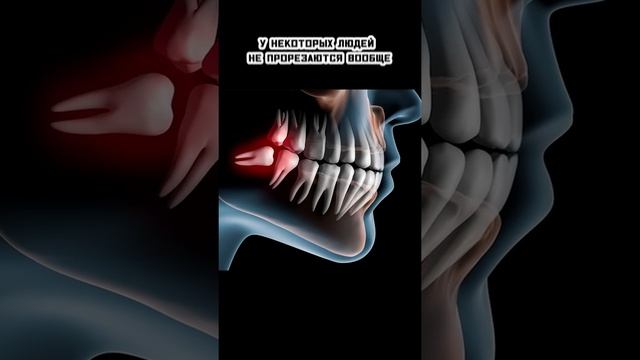 Рудименты. Органы, потерявшие свою первоначальную фунцию. смотреть онлайн