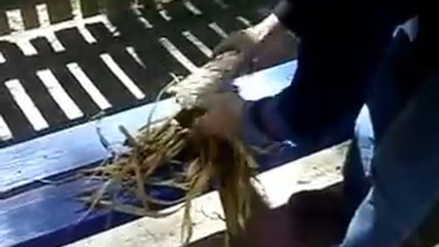 заплетенки в парке смотреть онлайн