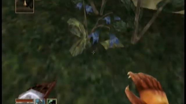 Let's Play Morrowind -32- Diseased Animals смотреть онлайн