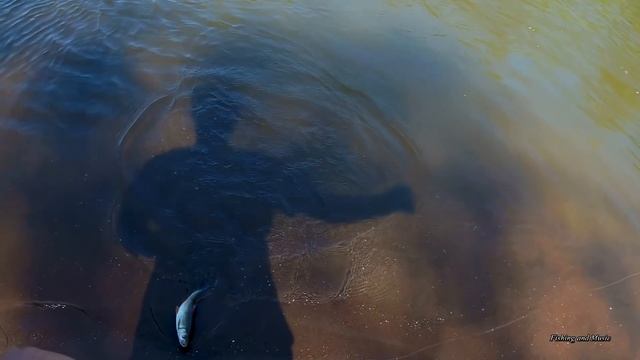 Рыбалка на самодельный кораблик (санки) на реке Самара. 25 июня смотреть онлайн