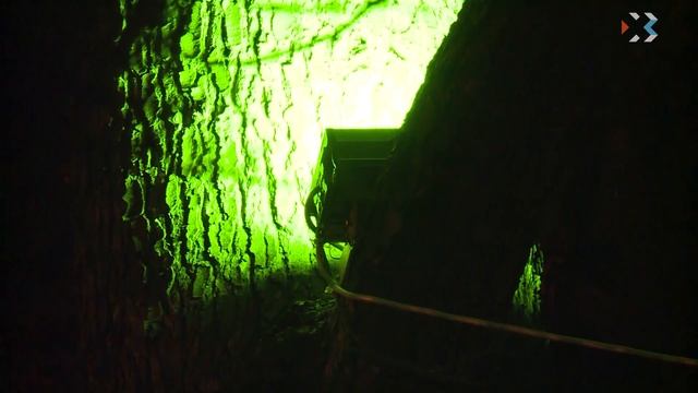 Губернатор Севастополя поручил выполнить план вакцинации населения до конца года смотреть онлайн