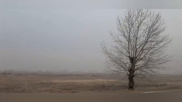 МЫ ЕДЕМ , ЕДЕМ , ЕДЕМ , В ДАЛЕКИЕ КРАЯ ... День 4 смотреть онлайн