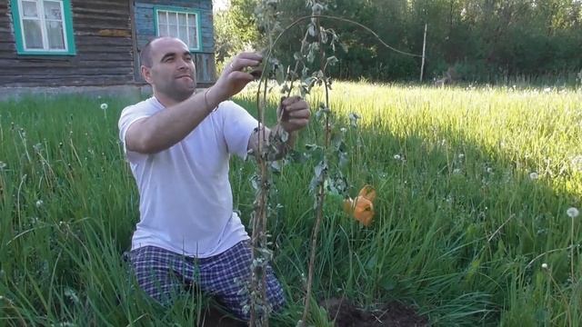 садовод и огородник смотреть онлайн