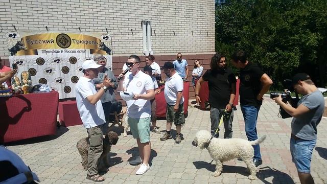 Крым Собаки зарабатывают 20 000 в день Фестиваль "Русский трюфель" смотреть онлайн