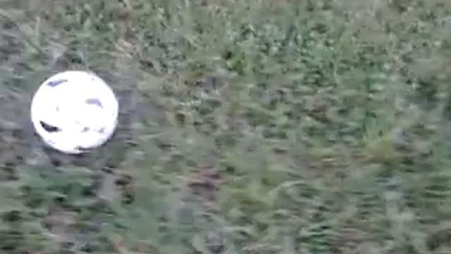 Как можно отдавать пасы . смотреть онлайн